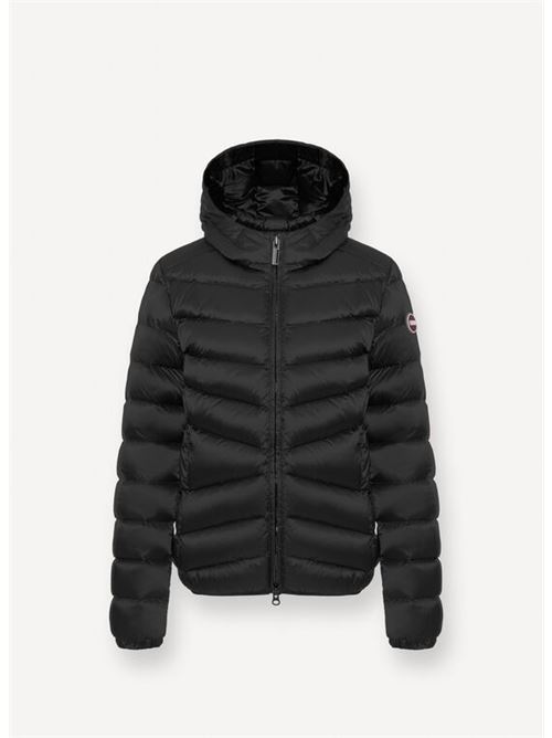  COLMAR | 2219 2YO/99